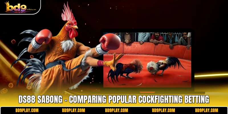 DS88 Sabong - Comparing Popular Cockfighting Betting