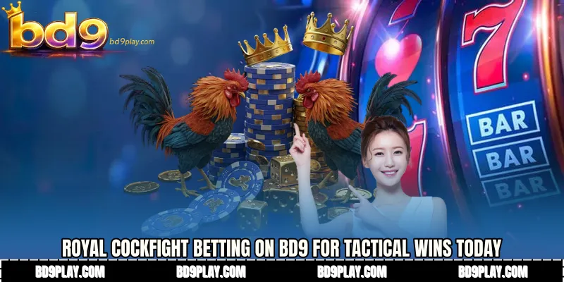 Royal Cockfight betting on BD9 for Tactical Wins Today
