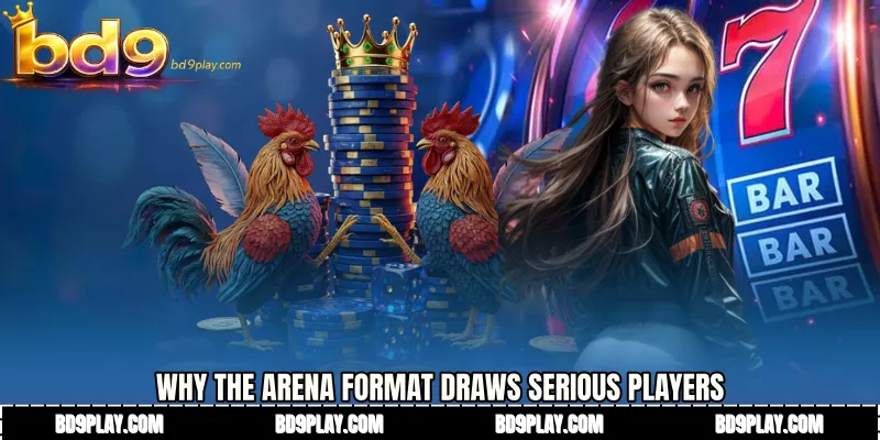 Why the Arena Format Draws Serious Players