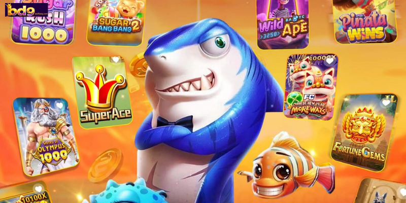 Features That Make OCEAN KING Irresistible